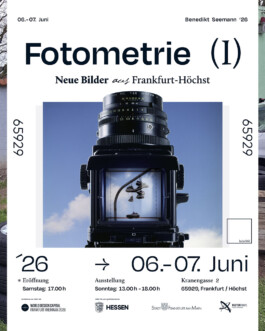 Neue Bilder aus Frankfurt - Höchst